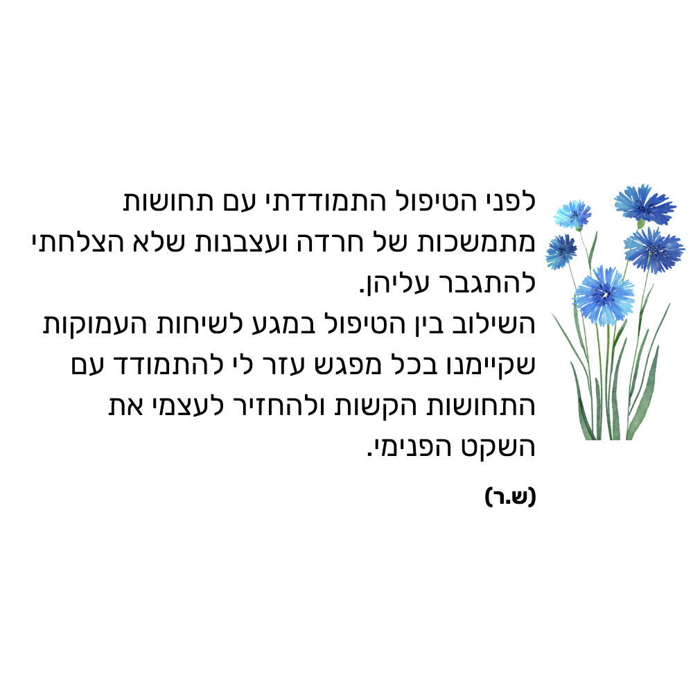 המלצה (1000 x 1000 פיקסל)
