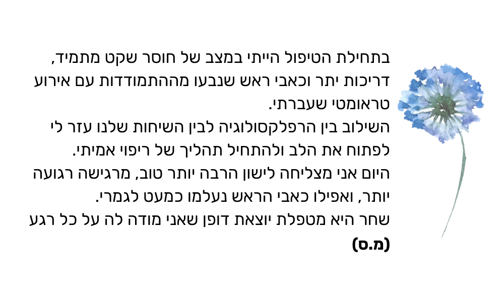 המלצה (1000 x 600 פיקסל) (12)